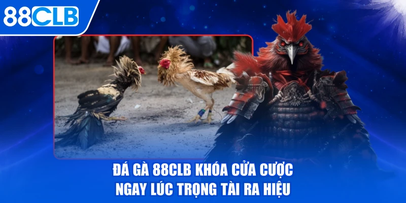 Đá gà 88CLB khóa cửa cược ngay lúc trọng tài ra hiệu